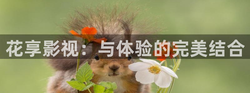 樱桃视频www在线播放